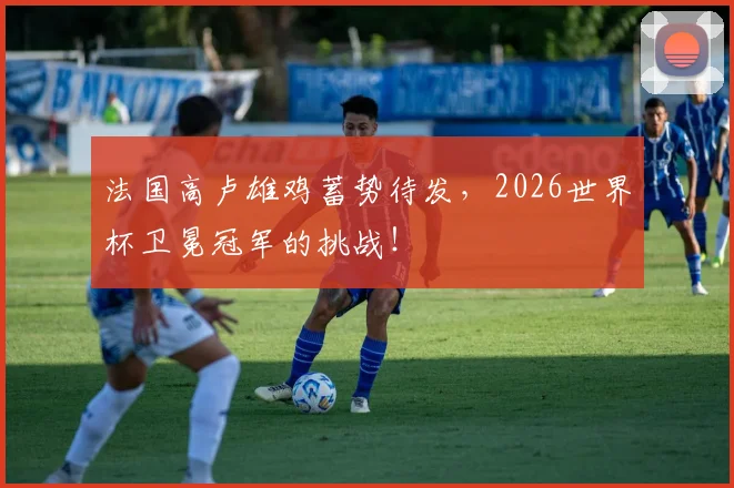 法国高卢雄鸡蓄势待发,2026世界杯卫冕冠军的挑战!