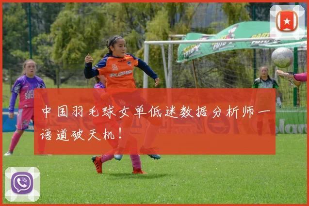 中国羽毛球女单低迷数据分析师一语道破天机！