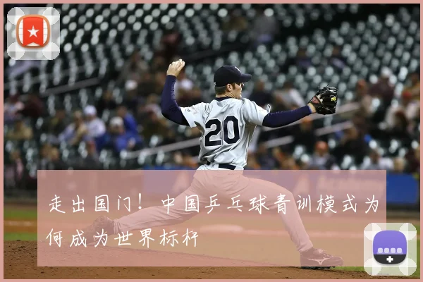走出国门!中国乒乓球青训模式为何成为世界标杆