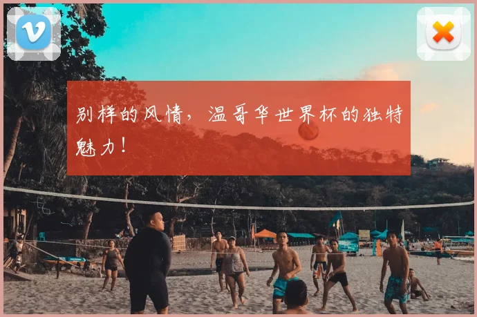 别样的风情,温哥华世界杯的独特魅力!