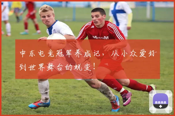 中东电竞冠军养成记，从小众爱好到世界舞台的蜕变！