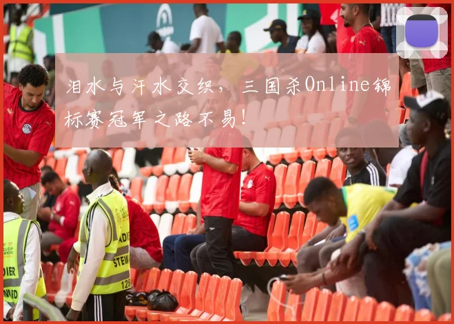 泪水与汗水交织，三国杀Online锦标赛冠军之路不易！