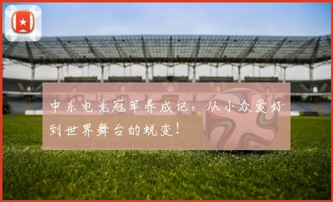 中东电竞冠军养成记，从小众爱好到世界舞台的蜕变！