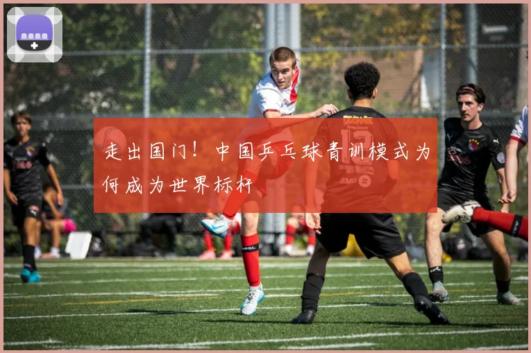 走出国门！中国乒乓球青训模式为何成为世界标杆