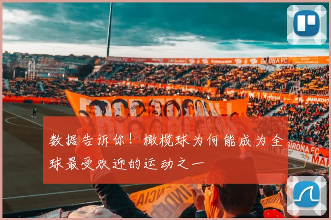 数据告诉你！橄榄球为何能成为全球最受欢迎的运动之一
