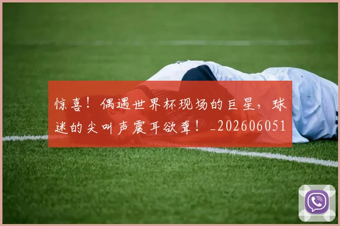 惊喜！偶遇世界杯现场的巨星，球迷的尖叫声震耳欲聋！_20260605144127