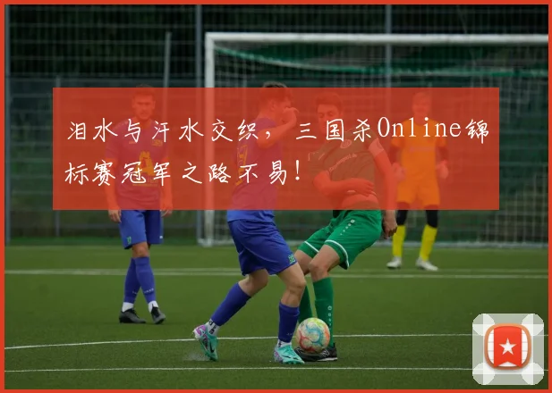 泪水与汗水交织，三国杀Online锦标赛冠军之路不易！